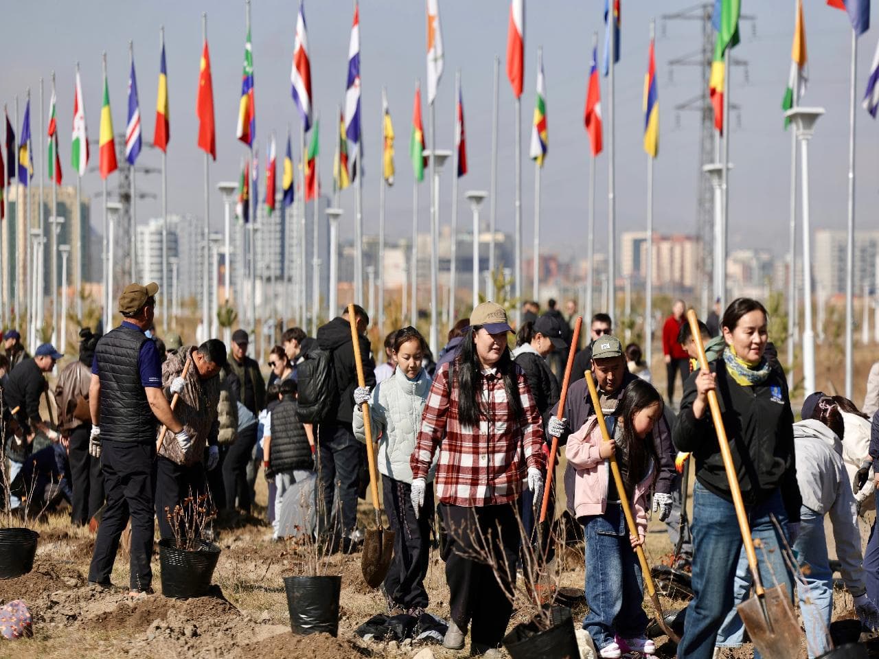 “Тэрбум мод” үндэсний хөдөлгөөний хүрээнд намрын мод тарих ажил эхэллээ